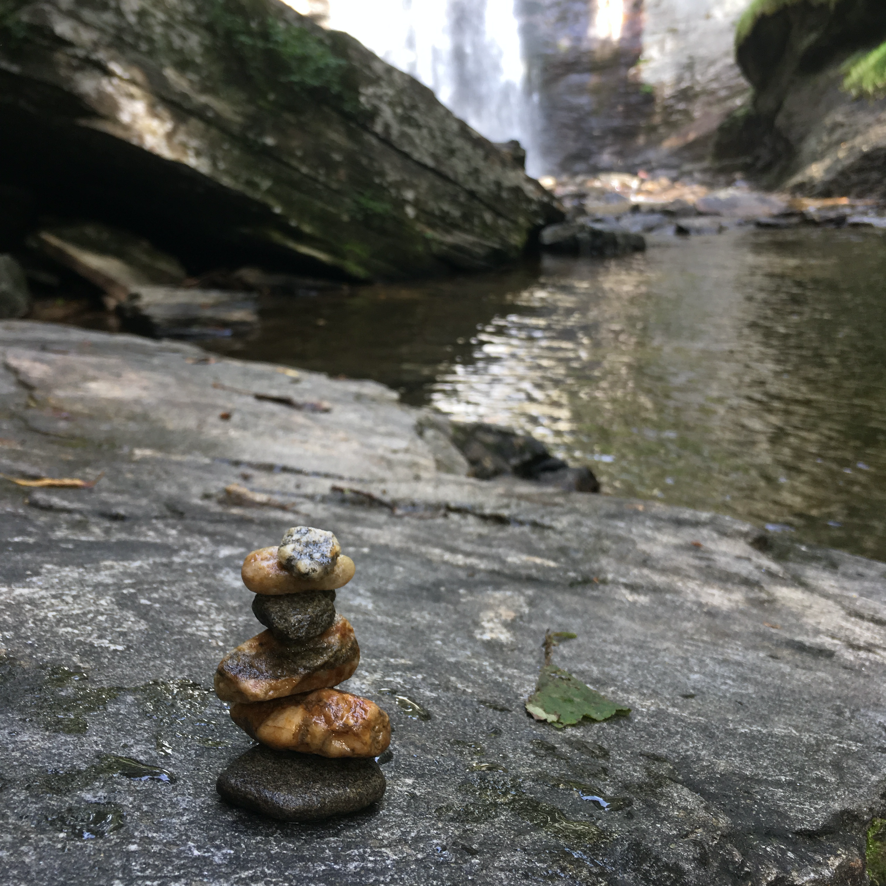 Verdantly sustainable travel and tourism